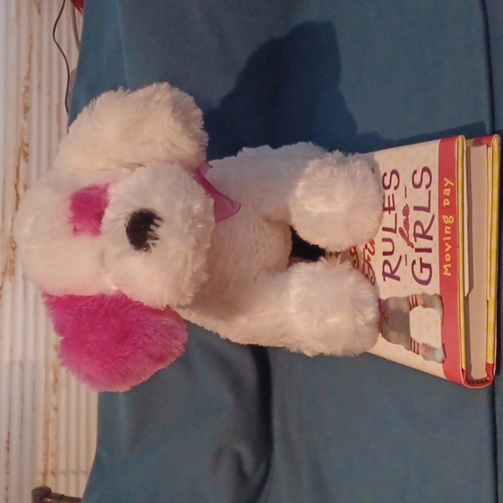 Book and Super Soft Pup